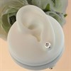 Silver Cubic Zirconia Circle Stud Earrings - 7mm - F04156 Alternative Image