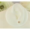 Silver Champagne Cubic Zirconia Stud Earrings - 5mm - F0417 Alternative Image
