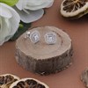 Silver Cubic Zirconia Halo Stud Earrings - 11mm - F04184 Alternative Image
