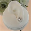 Silver Cubic Zirconia Halo Stud Earrings - 11mm - F04184 Alternative Image