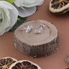 Silver Cubic Zirconia Star Stud Earrings - 20mm - F04189 Alternative Image