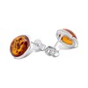 Silver Cognac Amber Round Stud Earrings- 10mm - F04226 Alternative Image