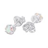Silver AB Stud Earrings - F04242 Alternative Image