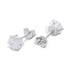 Silver Round CZ Claw Set Stud Earrings- 6mm - F04260 Alternative Image