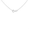 Silver Cubic Zirconia Teardrop Necklace - F33019 Alternative Image