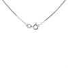 Silver Frosted Heart Necklace - F33021 Alternative Image