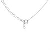 Silver Cubic Zirconia Entwined Circle Necklace - F33024 Alternative Image