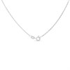Silver Mixed Amber Leaf Necklace - F34105 Alternative Image