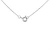 Silver Mini Initial C Necklace - F35102 Alternative Image
