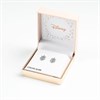 Disney Silver Cubic Zirconia Princess Crown Stud Earrings - F67102 Alternative Image