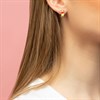 Disney Silver Winnie And Piglet Stud Earrings - F67104 Alternative Image