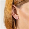 Disney Silver Winnie The Pooh And Piglet Stud Earrings - F67110 Alternative Image