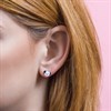 Disney Silver 101 Dalmatian Stud Earrings - F67111 Alternative Image
