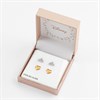 Disney Silver Gold Tone Princess And Crown Stud Earring Set - F6758 Alternative Image