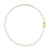 TI SENTO Gold Plated Silver 6MM Simulated Pearl Necklace - 17.5in - F69103 Alternative Image