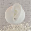 TI SENTO Silver Cubic Zirconia Solitaire Stud Earrings - F6925 Alternative Image