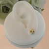 TI SENTO Gold Plated Silver Circle Stud Earrings - F6929 Alternative Image