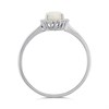 Silver Opal And Lab Grown Diamond Halo Ring - F9711 Alternative Image