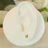 9ct Gold Button Ball Stud Earrings - 4mm - G0110 Alternative Image