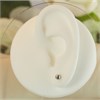9ct White Gold Ball Stud Earrings - 4mm - G0145 Alternative Image