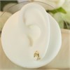 9ct Gold Mini Dolphin Stud Earrings - 10mm - G0148 Alternative Image