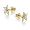 9ct Gold Two Colour Flower Stud Earrings - 8mm - G0165 Alternative Image