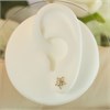 9ct Gold Two Colour Flower Stud Earrings - 8mm - G0165 Alternative Image