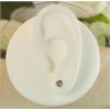9ct White Gold Knot Earrings - 4mm - G0217 Alternative Image