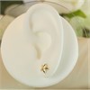 9ct Gold Star Earrings - 7mm - G0221 Alternative Image