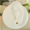 9ct Gold Ball Earrings - 5mm - G0285 Alternative Image