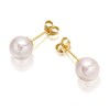 9ct Gold Japanese Akoya Cultured Pearl Stud Earrings - 6.5-7mm - G0479 Alternative Image
