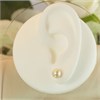 9ct Gold Japanese Akoya Cultured Pearl Stud Earrings - 6.5-7mm - G0479 Alternative Image