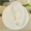 9ct Gold Japanese Akoya Cultured Pearl Stud Earrings - 7.5-8mm - G0481 Alternative Image