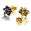 9ct Gold Sapphire Cluster Earrings - 7mm - G0488 Alternative Image