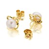 9ct Gold Freshwater Cultured Pearl Stud Earrings - 4.5-5-mm - G0562 Alternative Image