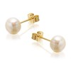 9ct Gold Freshwater Cultured Pearl Stud Earrings - 6mm - G0647 Alternative Image