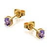 9ct Gold Oval Tanzanite Stud Earrings - 4mm - G0815 Alternative Image