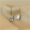 9ct White Gold Cubic Zirconia Hook Wire Earrings - 17mm drop - G2887 Alternative Image