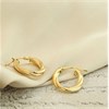 9ct Gold Twist Hoop Earrings - 20mm - G41163 Alternative Image