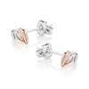 Clogau Silver And 9ct Rose Gold Tree Of Life Stud Earrings - G44139 Alternative Image