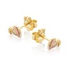 Clogau 9ct Yellow And Rose Gold Tree Of Life Stud Earrings - G4499 Alternative Image