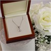 Platinum Diamond Solitaire Necklace - 55pts - G/SI2 - H05365 Alternative Image