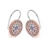 Fossil JF01737791 Vintage Glitz Crystal Drop Earrings - J49133 Alternative Image