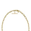 Fossil JA7209710 Yellow IP Necklace - J49336 Alternative Image
