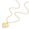 Fossil JF04689710 Yellow IP Heart Necklace - J49342 Alternative Image