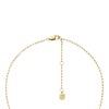 Fossil JF04856710 Yellow IP Stone Set Heart Necklace - J49371 Alternative Image