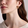 Fossil JF05002710 Yellow IP Graduated Hoop Earrings - J49429 Alternative Image