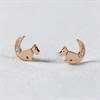 Radley RY1252 18ct Rose Gold Plated Silver Diamond Moon Stud Earrings - J81121 Alternative Image