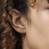 Radley RYJ1300 18ct Rose Plated Silver Diamond Stud Earrings - J81128 Alternative Image