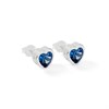 Radley RYJ1307 Silver Blue Crystal Heart Stud Earrings - J81146 Alternative Image